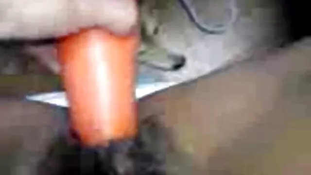 ペットストッキングPart2 女性 用 無 修正