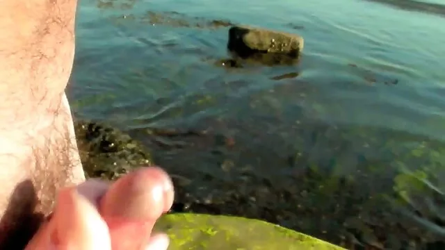 シスター、行くツバメ 女性 用 無 修正 動画